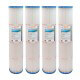 Filtre SPCF-119 - Crystal Filter® - Compatible Pentair® QUAD DE 80 (lot de 4)