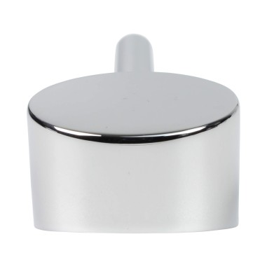 Poignée eau de réseau robinet Biscayne - Chromé