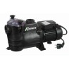 Pompe Piscine 1000 Watts auto-amorcante Ribimex