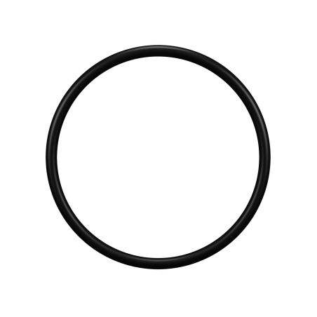 Joint compatible pour carter porte filtre Junior - Senior - Pallas II et duo