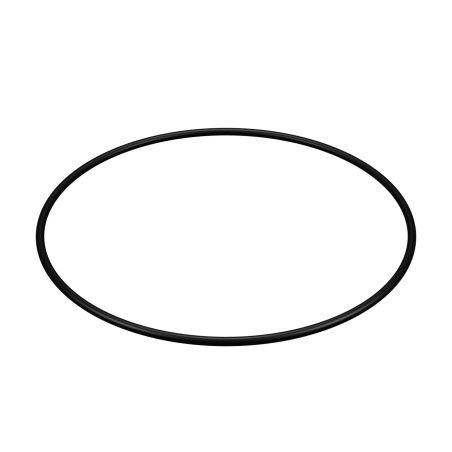 Joint carter pour filtre Hayward ® SwimClear