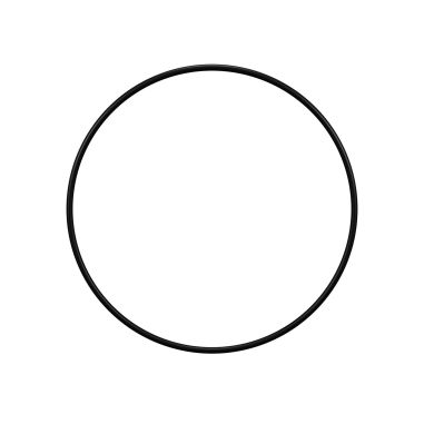 Joint carter pour filtre Hayward ® SwimClear