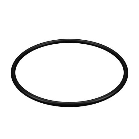 Joint de couvercle pour filtre Hayward ® Star Clear II