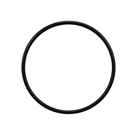 Joint de couvercle pour filtre Hayward ® Star Clear II