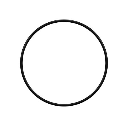 Joint de couvercle pour filtre Hayward ® Star Clear Plus