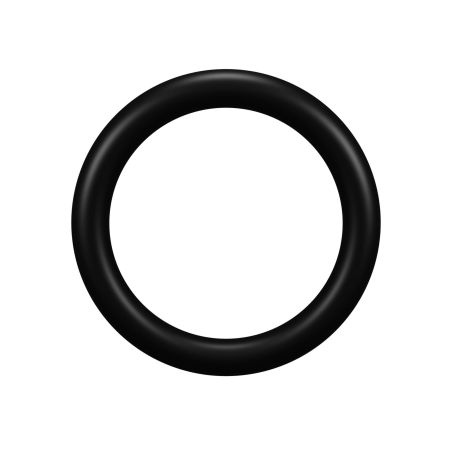 Joint de purge d'air pour filtre Hayward ®