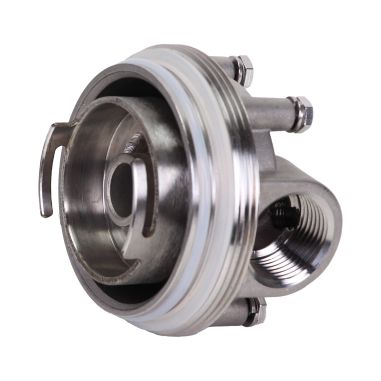 Carter inox 20'' AISI316 entrée sortie 1'' BSPT code 226 avec mano 0-6 bars et equerre