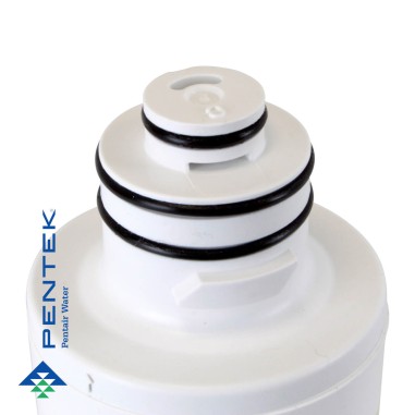 Cartouche Quick Change QC10 CB1R Pentair charbon actif