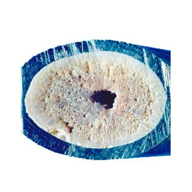 Silicophosphate en billes -sachet Stand-up de 2.5 kg - anti tartre