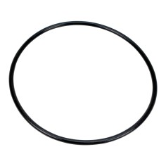 Joint torique pour carter Big Blue 10" et 20'' - Crystal Filter® - FHPP-10BB et FHPP-20BB