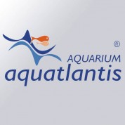 Aquatlantis - Aqua